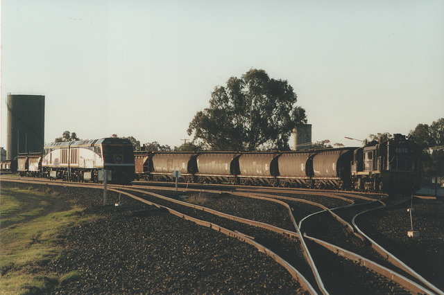 200011Narrabri0006