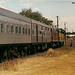200201CountryMusicTrainTwh0006