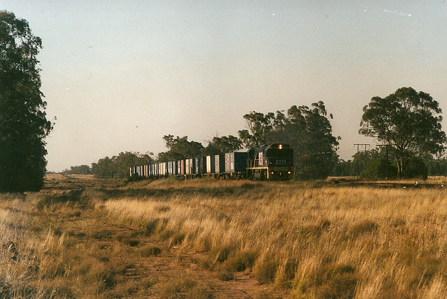 200202Narrabri0001