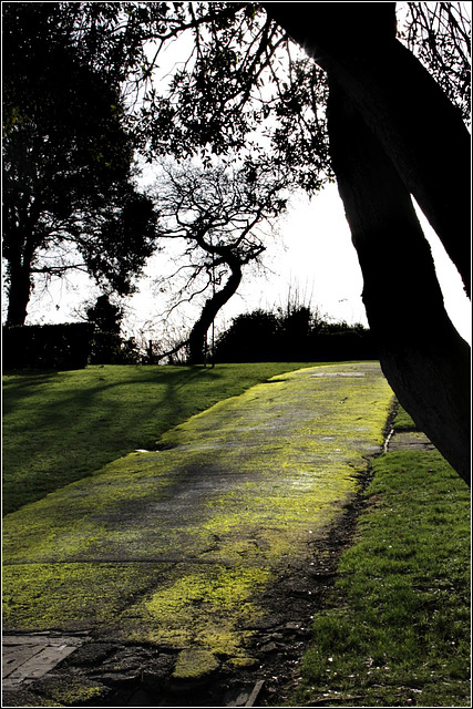 Green path