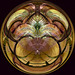 Circle