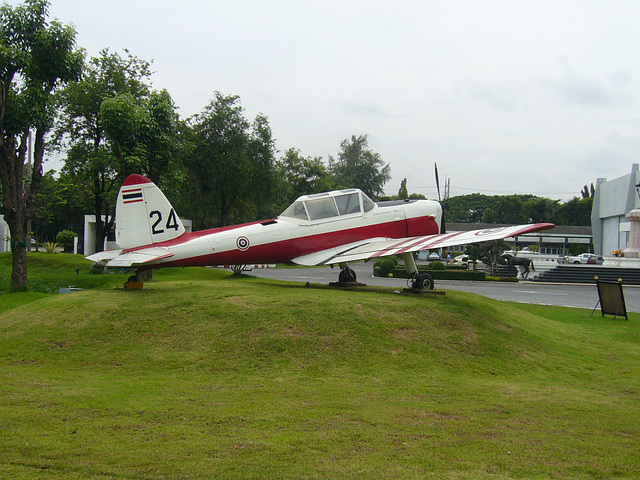 Bangkok Chipmunk