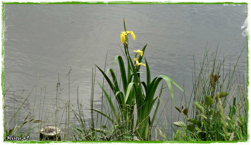 L'ARCHE DE la NATURE