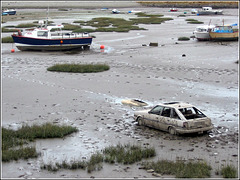 Amphibious (not!)