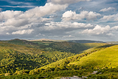 Dartmoor - 20140811