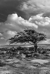 Dartmoor - 20140811