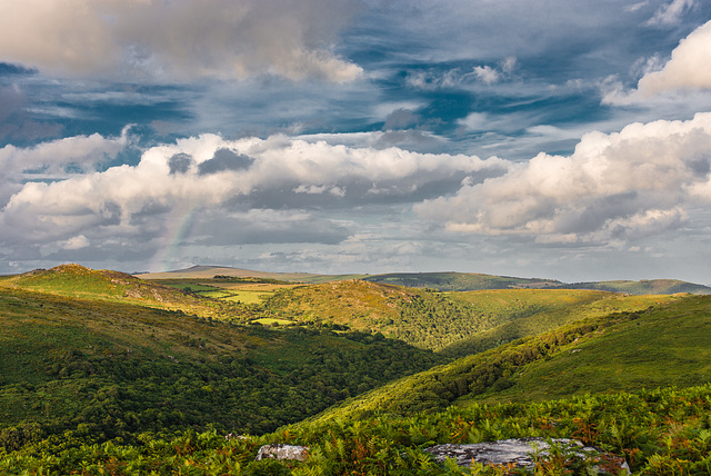 Dartmoor - 20140811