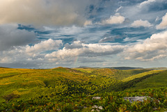 Regenbogen - 20140811