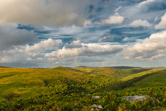 Regenbogen - 20140811