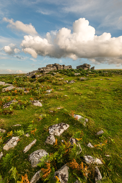 Dartmoor - 20140811