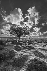 Dartmoor - 20140811