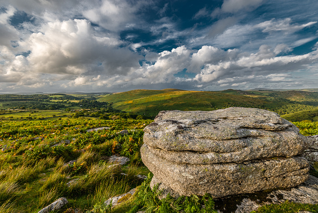 Dartmoor - 20140811