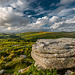 Dartmoor - 20140811