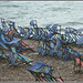 Deckchairs in the wind