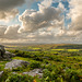 Dartmoor - 20140811