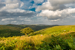 Dartmoor - 20140811