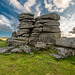 Dartmoor - 20140811