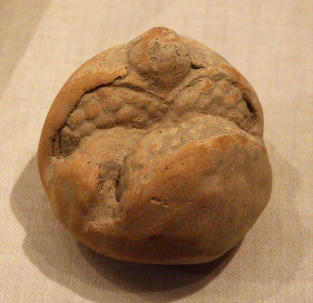 Terracotta Pomegranete in the Metropolitan Museum of Art, December 2008