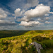 Dartmoor - 20140811