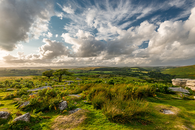 Dartmoor - 20140811