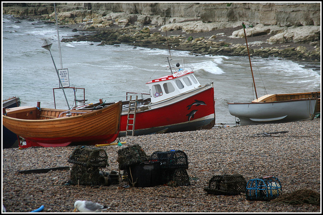 Too rough for boat trips