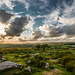 Dartmoor - 20140811