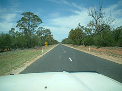 Jersey 004 Collarenabri - Walgett