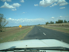 Jersey 005 Coonamble - Quambone