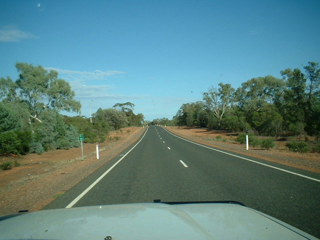 Jersey 010 Nyngan - Cobar