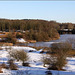 Cosmeston winter