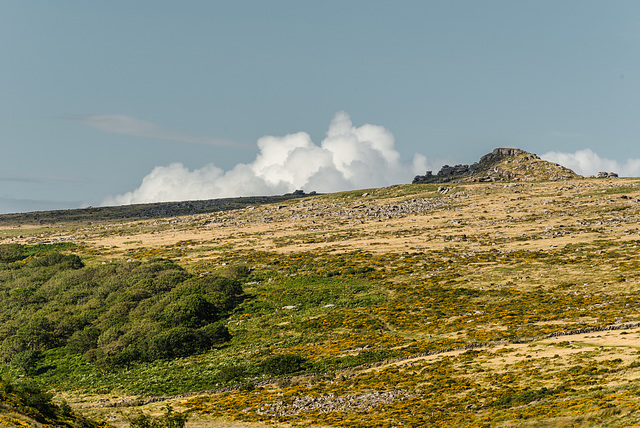 Dartmoor - 20140811