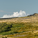 Dartmoor - 20140811