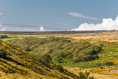 Dartmoor - 20140811