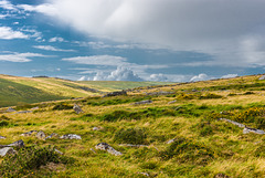 Dartmoor - 20140811