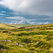 Dartmoor - 20140811