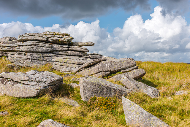 Dartmoor - 20140811