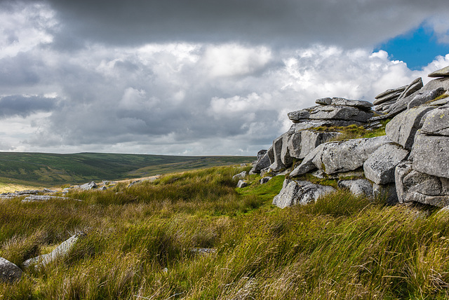 Dartmoor - 20140811