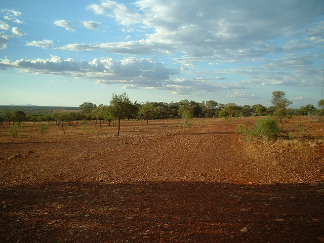 Jersey 038 Karoo