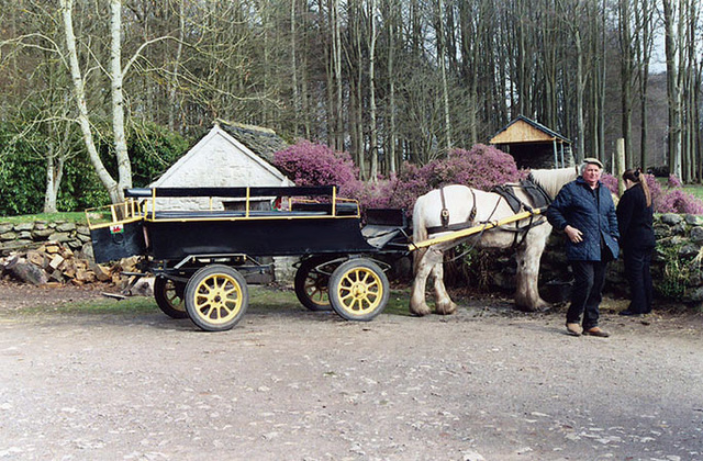 Horse and Cart at the Museum of Welsh Life, 2004