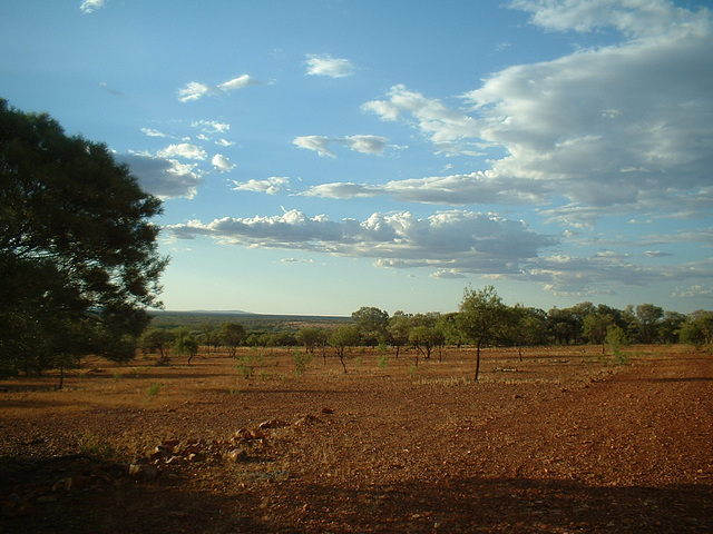 Jersey 039 Karoo