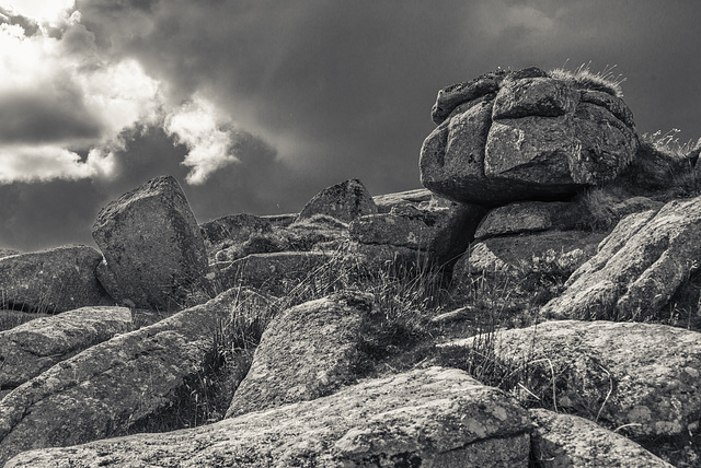 Dartmoor - 20140811