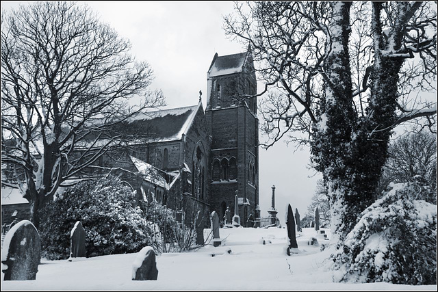 Winter graveyard