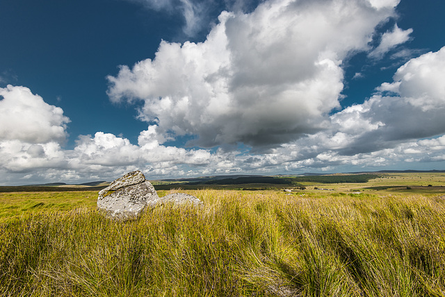 Dartmoor - 20140811