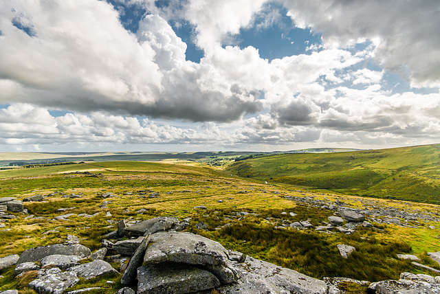 Dartmoor - 20140811