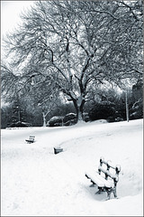 Park benches