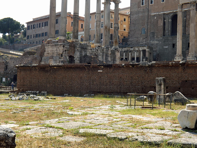 The Rostra in the Forum Romanum, July 2012