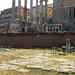 The Rostra in the Forum Romanum, July 2012