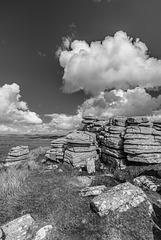 Dartmoor - 20140811