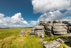 Dartmoor - 20140811