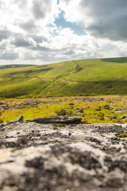 Dartmoor - 20140811